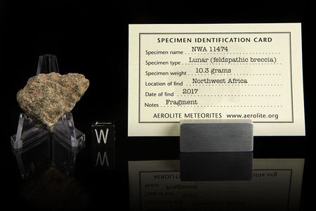 Lot #8010  NWA 11474 Lunar Meteorite Fragment - Image 2