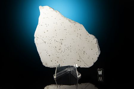 Lot #8002  Dronino Iron Meteorite Slice