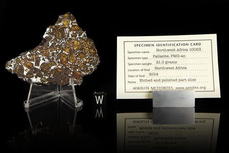 Lot #8006  NWA 10023 Pallasite Meteorite Slice
