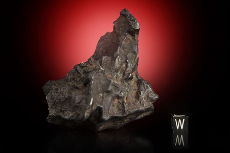 Lot #8022  Sikhote-Alin Iron Meteorite Whole Individual - Image 1