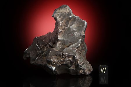 Lot #8022  Sikhote-Alin Iron Meteorite Whole Individual - Image 2