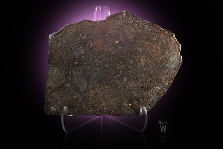 Lot #8005  El Tiro Chondrite Meteorite Slice