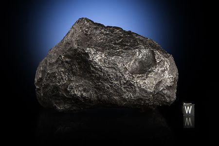 Lot #8001  Campo del Cielo Iron Meteorite Whole