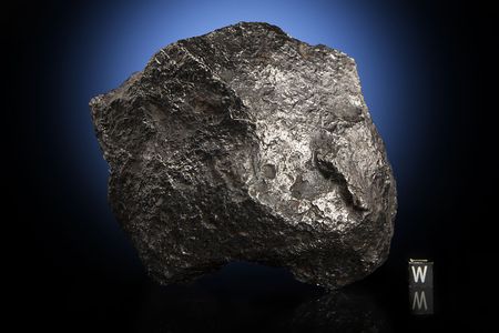 Lot #8001  Campo del Cielo Iron Meteorite Whole Individual - Image 2