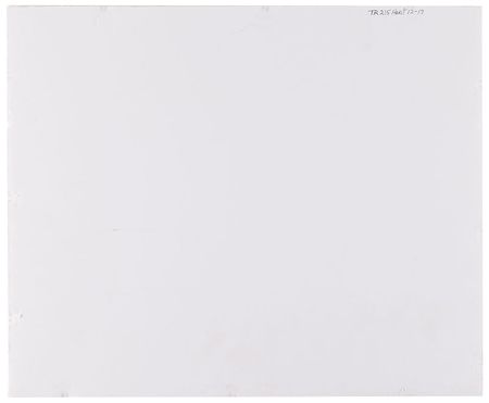 Lot #1067 Hokey Wolf production cel and master background set-up from a Hanna-Barbera cartoon Production Key Master Background Set-Up - Image 3