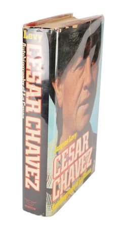 Lot #221 Cesar Chavez Book - Image 2