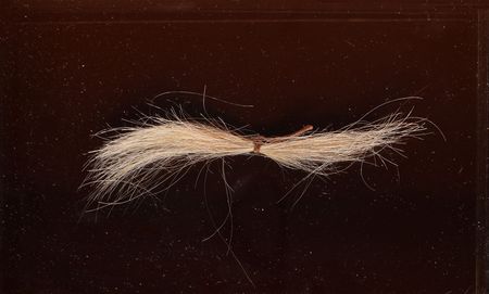 Lot #1053 George Washington's Lock of Hair - Image 2
