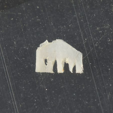 Lot #2295 Michael Collins's Apollo 11 Flown Miniature Ivory Elephant - Image 1