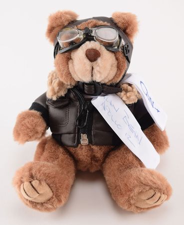 Lot #2427 Alan Bean Signed Teddy Bear - Image 2