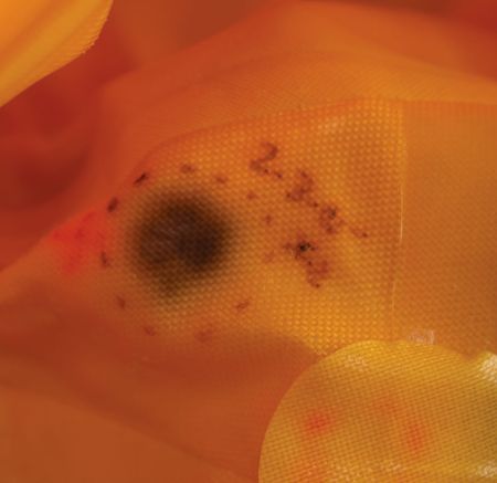 Lot #2611  Space Shuttle EMU Suit Boot - Image 11