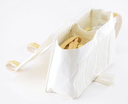 Lot #2591  Hubble Space Telescope Bistem Straps and Pouch - Image 3