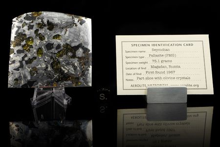 Lot #2138  Seymchan Pallasite Meteorite Partial Slice - Image 3