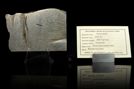 Lot #2135  Santa Rosa Iron Meteorite Partial Slice - Image 2
