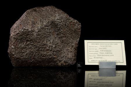 Lot #2117  Campo del Cielo Iron Meteorite End Cut - Image 4