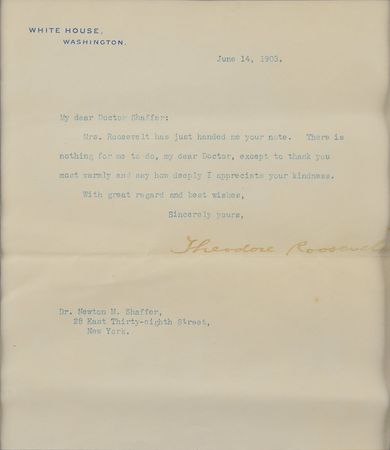 Lot #202 Theodore Roosevelt Typed Letter Signed - Image 2