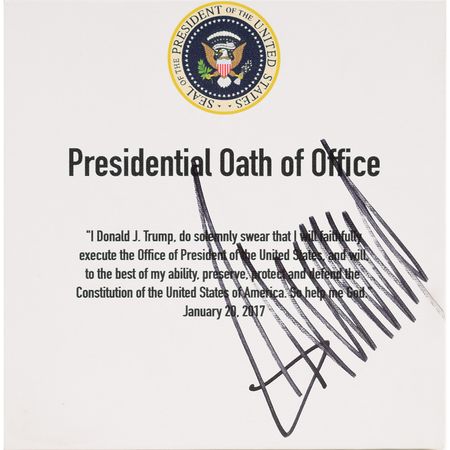 Lot #208 Donald Trump Canvas Print - Image 2