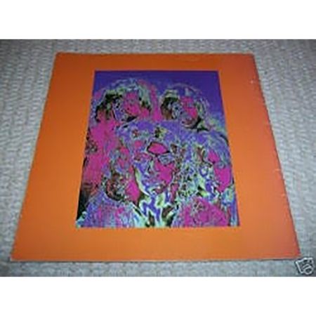 Lot #5157  Led Zeppelin 1969 US Tour Program - Image 6