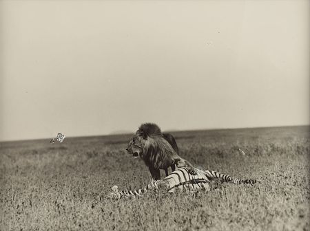 Lot #588 Ernest Hemingway: Death on the Serengeti: a photograph taken by Hemingway and published in Esquire - Image 1
