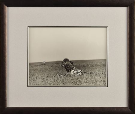 Lot #588 Ernest Hemingway: Death on the Serengeti: a photograph taken by Hemingway and published in Esquire - Image 2
