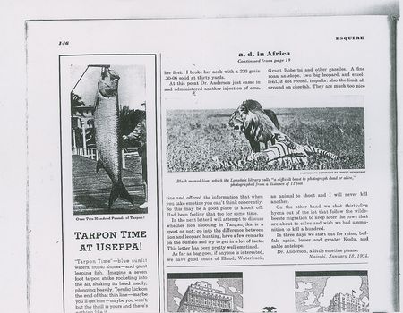 Lot #588 Ernest Hemingway: Death on the Serengeti: a photograph taken by Hemingway and published in Esquire - Image 6
