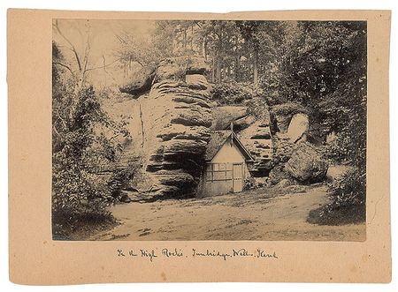 Lot #213 Charles Darwin: Darwin supports his hometown surveyor - Image 5