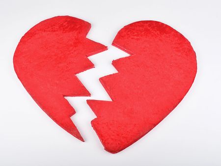 Lot #682 Tom Petty and the Heartbreakers Program - Image 3