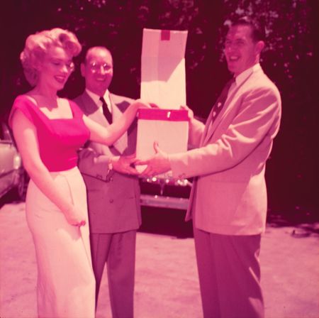 Lot #736 Marilyn Monroe Archive of Original Negatives, Sold With Copyright: Sold with copyright: a remarkable archive of nearly 200 negatives of Marilyn Monroe shot during the production of Niagara - Image 7