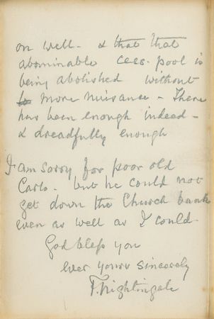 Lot #206 Florence Nightingale: Nightingale's wish 