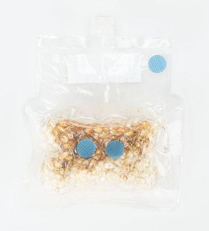 Lot #8668  Shuttle-era Corn Space Food - Image 2