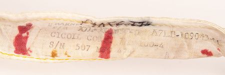 Lot #8326 Jim Irwin's Apollo 15 Bio-Harness Assembly - Image 4