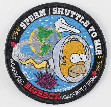 Lot #8617  Space Shuttle Homer Simpson Biorack