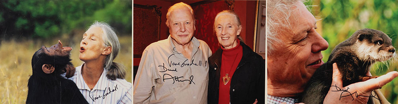 Lot 350 Jane Goodall and David Attenborough Signed Photographs