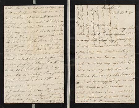 Lot #28 Mary Todd Lincoln: Desperate in Frankfurt, the grieving Mary Todd awaits aid from Congress: 