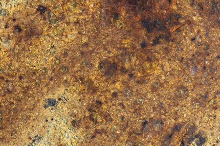 Lot #2414  Northwest Africa (NWA) 11342 (Diogenite) Meteorite - Image 3