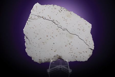 Lot #2450  Dronino Meteorite Full Slice - Image 1