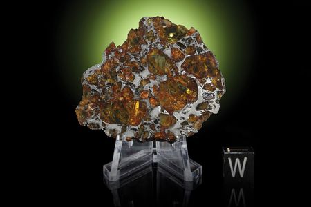 Lot #2444  Northwest Africa (NWA) 10023 Pallasite Meteorite - Image 2