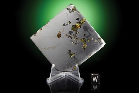 Lot #2445  Seymchan Pallasite Meteorite - Image 2