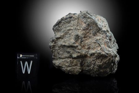 Lot #2436  Northwest Africa (NWA) 11788 Lunar Meteorite - Image 1