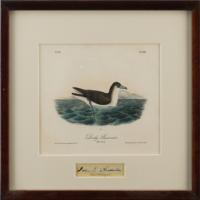 Lot #546 John J. Audubon Signature - Image 1