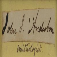 Lot #546 John J. Audubon Signature - Image 2