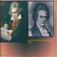 Lot #757 Ludwig van Beethoven Hair - Image 1