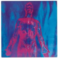 Lot #1047 Nirvana: Sliver Group Lot - Image 3