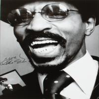 Lot #1012 Ike and Tina Turner Signed Photographs - Image 2