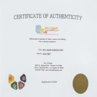 Lot #1238 Star Trek: DS9 Quark Gambling Tokens Prop - Image 2