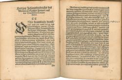 Lot #664 Wilhelm von Grumbach Book - Image 3