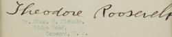Lot #168 Theodore Roosevelt Signature - Image 3