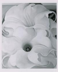 Lot #598 Georgia O'Keeffe Typed Letter Signed - Image 2