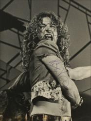 Lot #825 Led Zeppelin: Robert Plant: Rare Oversized Signed Photo of Plant - Image 1