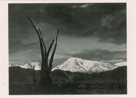 Lot #461 Ansel Adams Greeting Card - Image 2