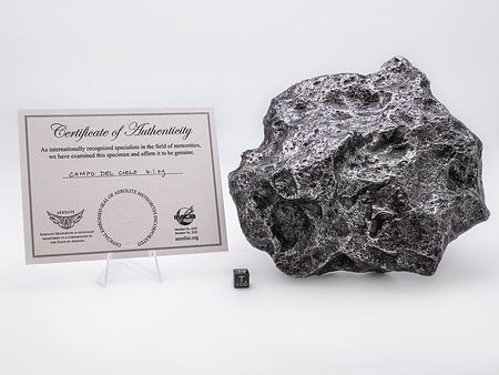 Lot #4575  Campo del Cielo Iron Meteorite - Image 2